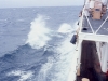 1969cadetcruise4_atsea045